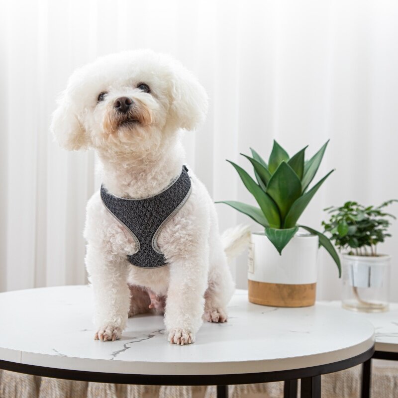 Comfort-fit pet harness product view