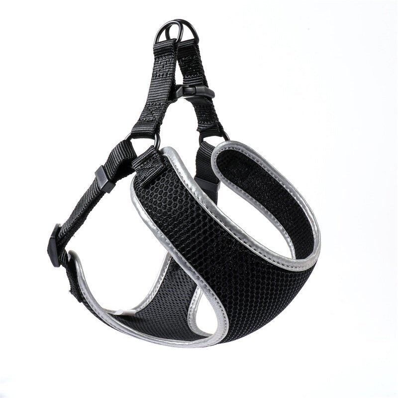 Comfort-Fit Pet Walking Harness & Leash product image