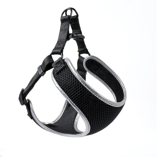 Comfort-Fit Pet Walking Harness & Leash product image